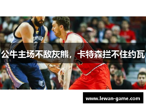 公牛主场不敌灰熊，卡特森拦不住约瓦